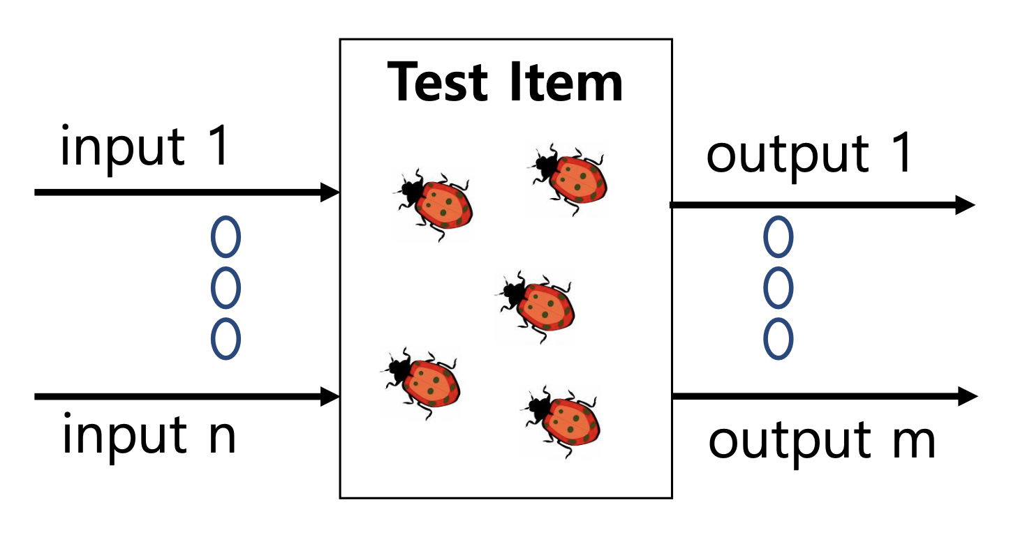 Black Box Testing